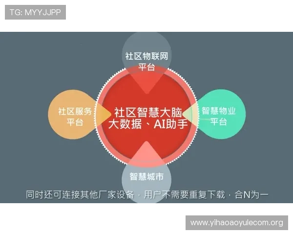 壹号彩票官方网站的多平台支持与移动端使用体验评测